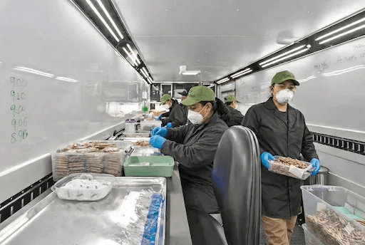 Pre-roll production team at work