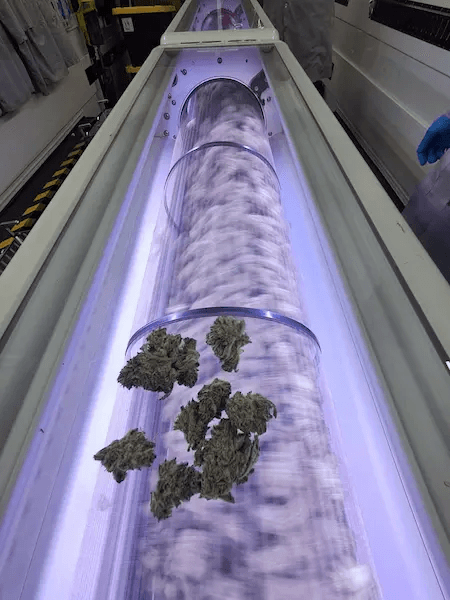 Mobius M108 tumbler with cannabis material processing