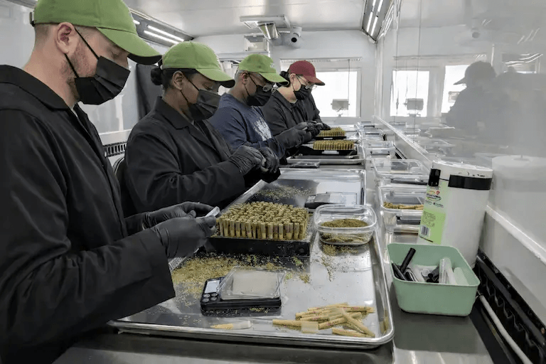 Pre-roll manufacturing line in operation