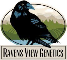 Ravens View Genetics