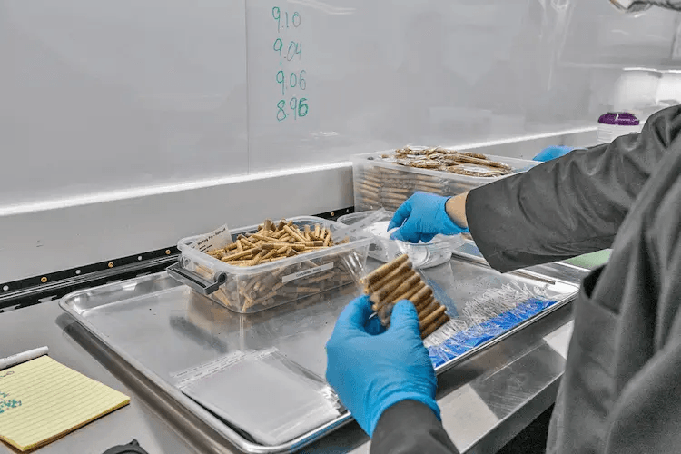 Pre-roll quality control and handling process