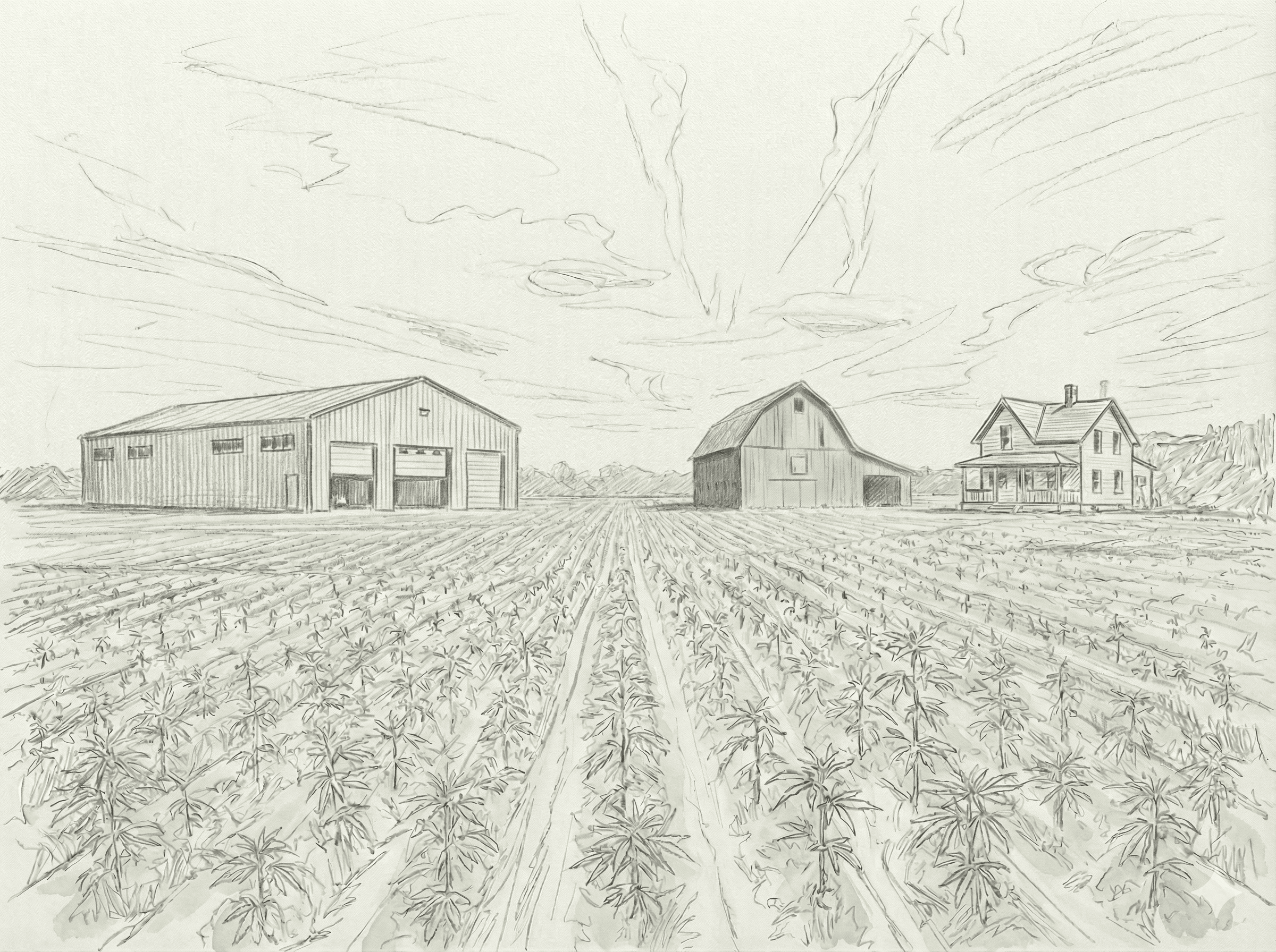 Local cannabis cultivation and retail operations